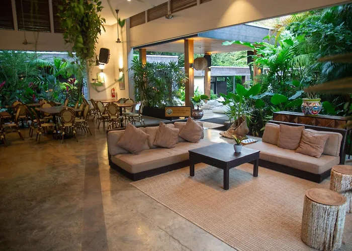 The White Palms Of Hotel Nosara