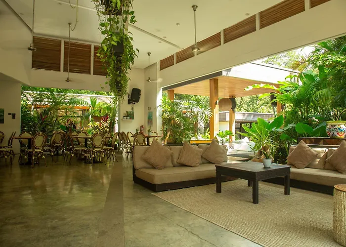 Hotel The White Palms Of 3*