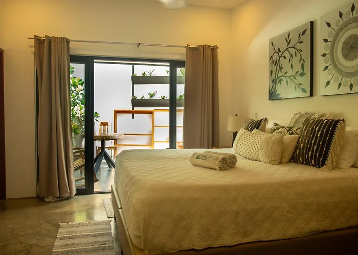 The White Palms Of Hotel Nosara