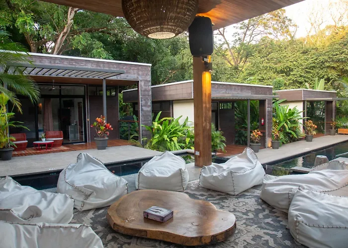 The White Palms Of Hotel Nosara